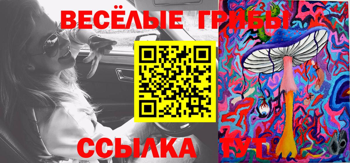 Урус-Мартан  Псилоцибиновые грибы мухоморы  Вход с VPN 